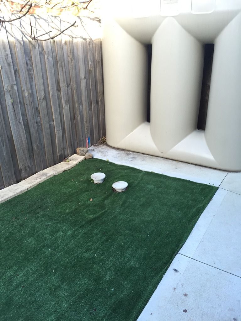 What are these two pipes in my backyard? • Home Renovation & Building Forum