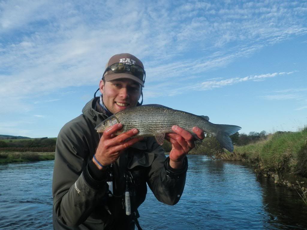 1lb 15oz of Irfon Grayling photo Developed-1126_zpsf1443dcf.jpg