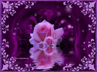purple rose Pictures, Images and Photos
