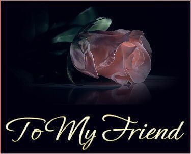 friend flower orkut scraps