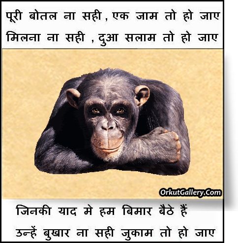 funny quotes in hindi. funny hindi pictures orkut