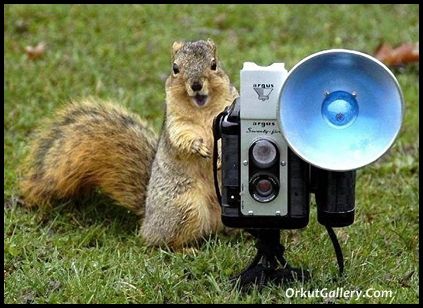 funny pictures Orkut scraps