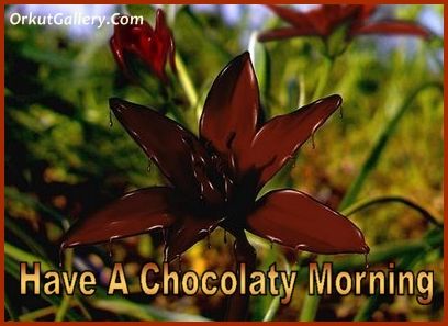 good morning Orkut scraps