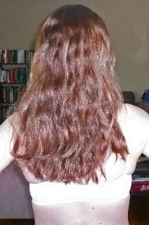 The Long Hair Community Discussion Boards