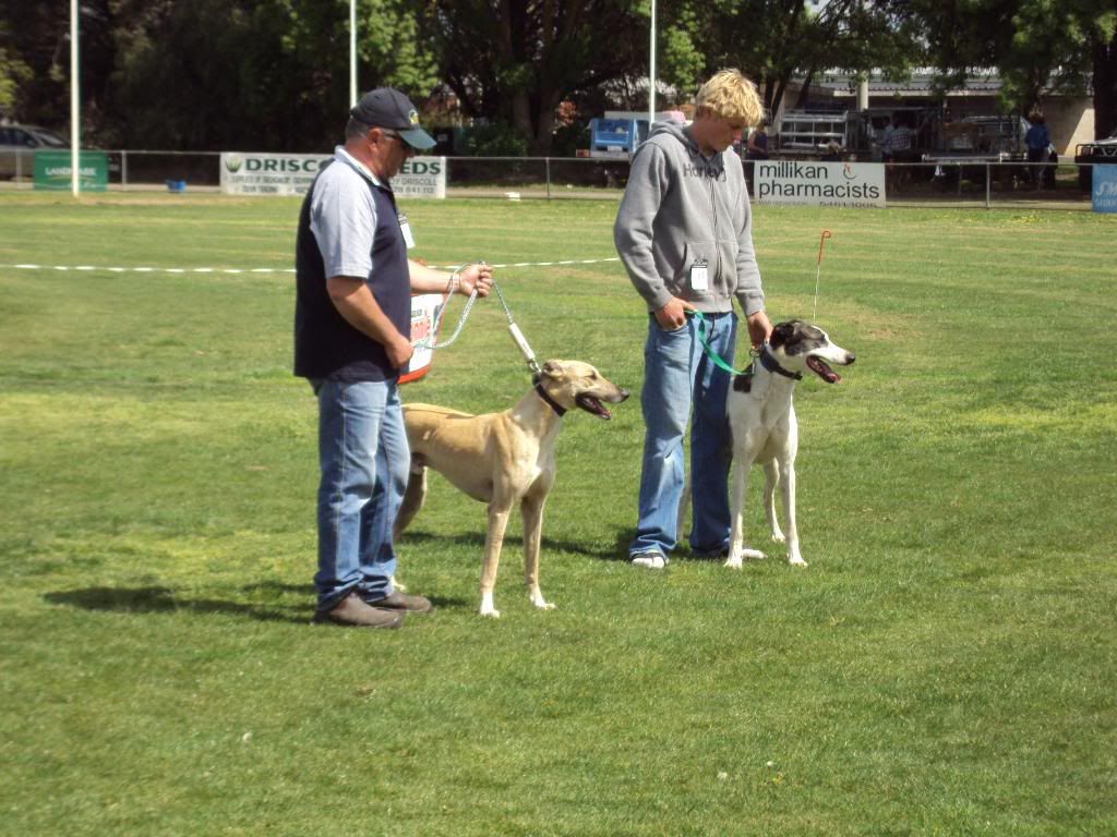carisbrook09132.jpg