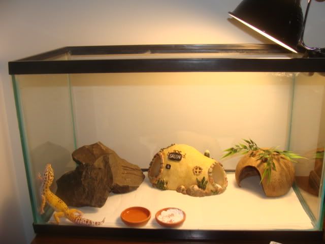 DSC01231.jpg