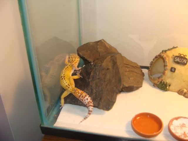 DSC01233.jpg
