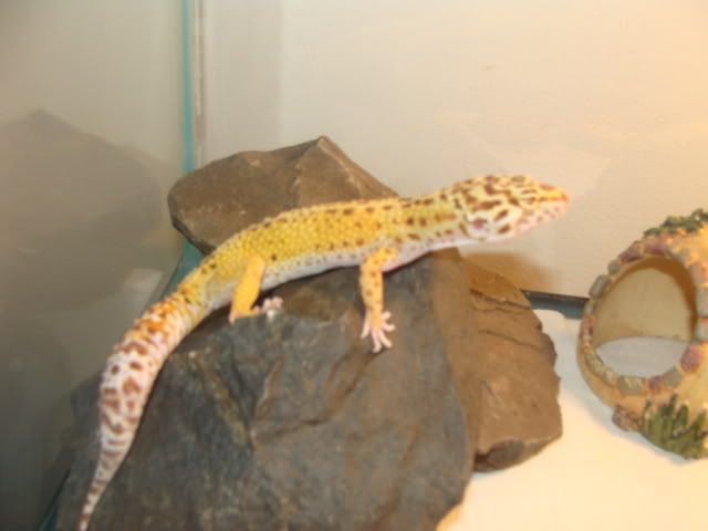 DSC01234.jpg