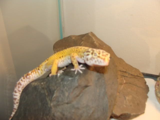 DSC01235.jpg