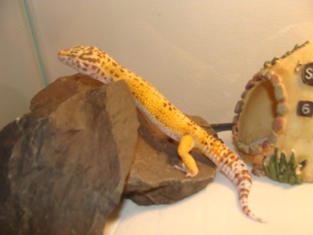 DSC01240.jpg