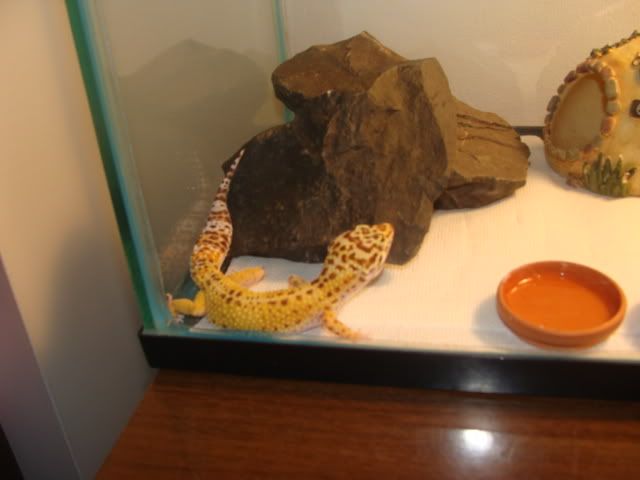 DSC01241.jpg