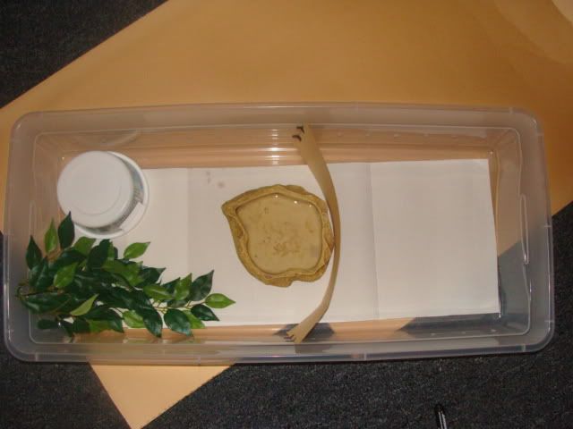 DSC01253.jpg