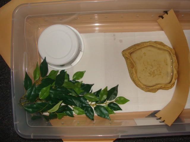 DSC01254.jpg