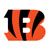 photo bengals_zps979320a5.jpg