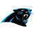 photo panthers_zpsc4db51ee.jpg