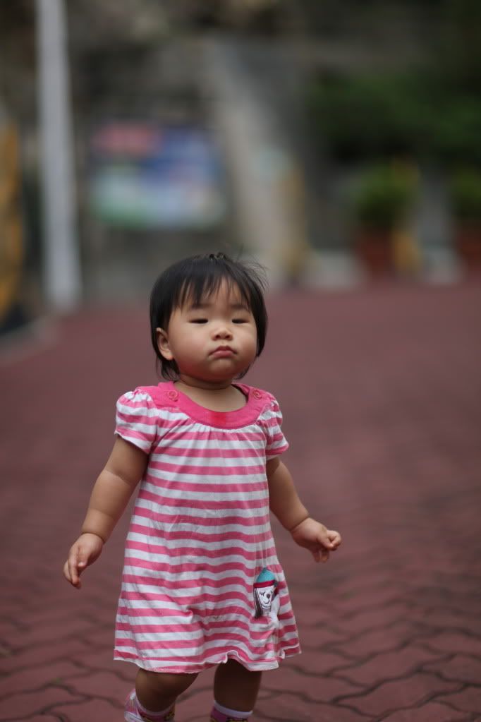 85mm 1.2 L