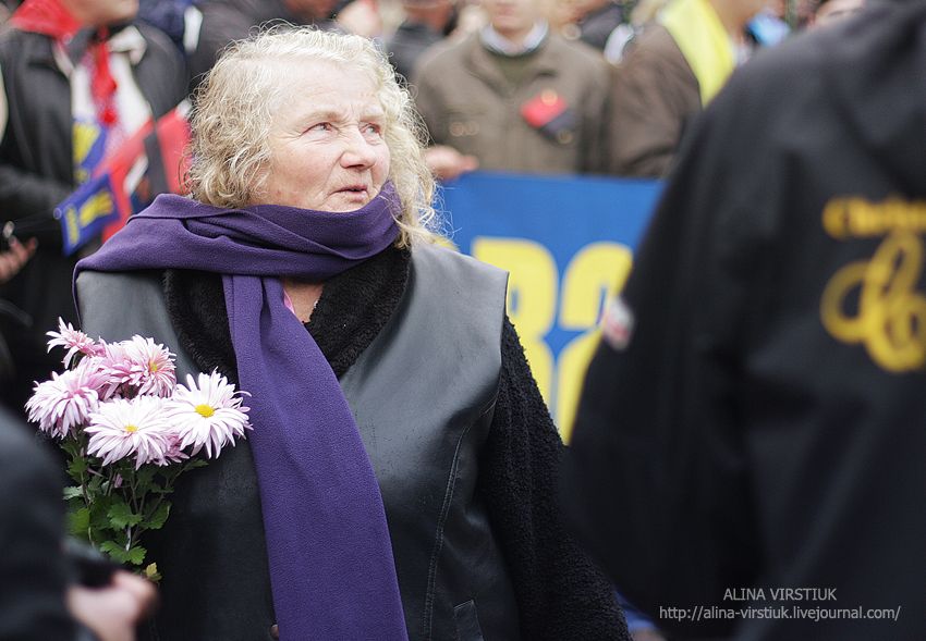 мітинг за УПА, 71 річниця Київ