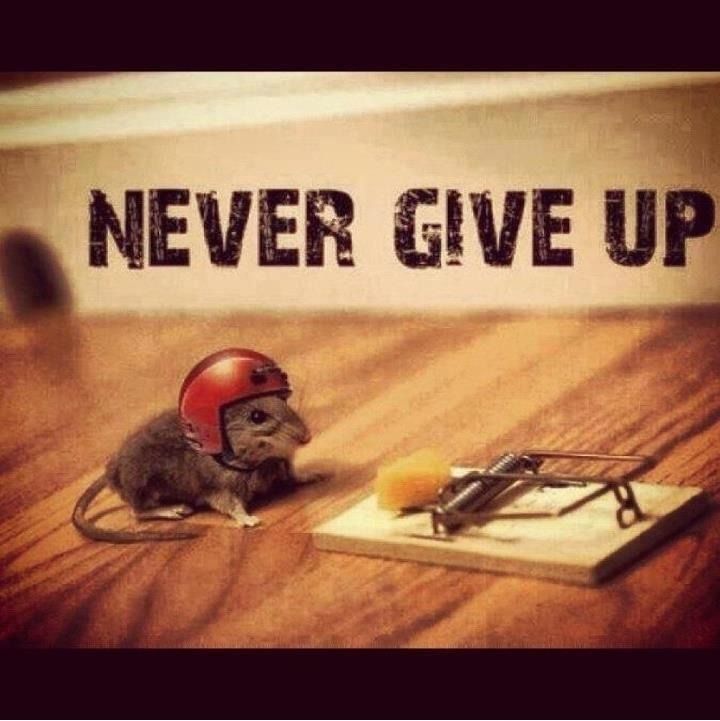 dont give up