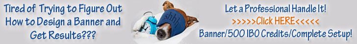 biz op banner