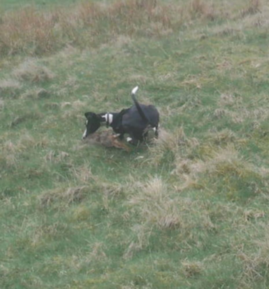 113418f0-0c14-47fa-a5fa-e004f0d60245_zps