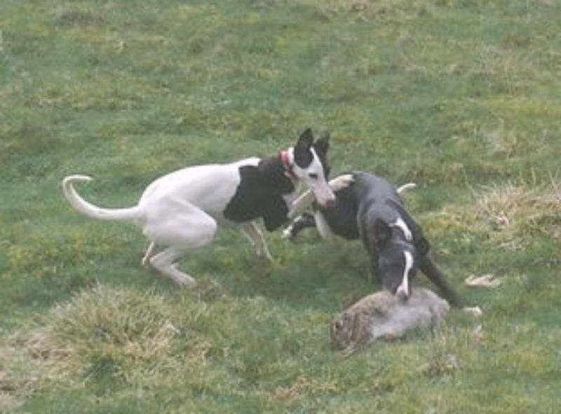 5f2f552e-b6ec-4a3a-b9b5-faa4d9174f57_zps