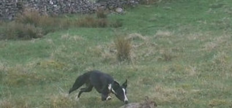 b83b0673-f541-4fb4-87a3-77b0548d0249_zps