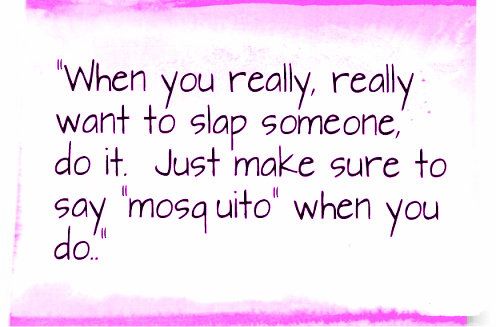 Mosquito Slap Quote