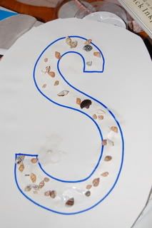 S is for Seashell