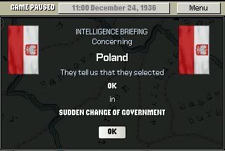 36POLNERV.jpg