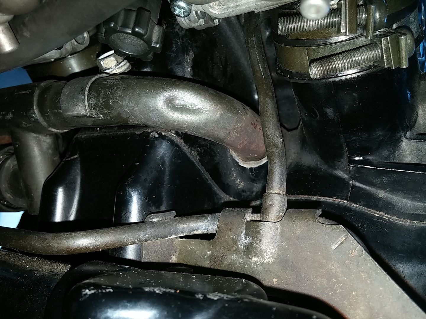 Honda magna coolant leak #4