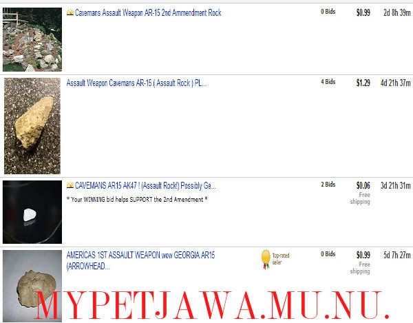wwwebaycomscreencapture2013-1-16-11-1-13_caveman_assaultweapon_zpsac40281a
