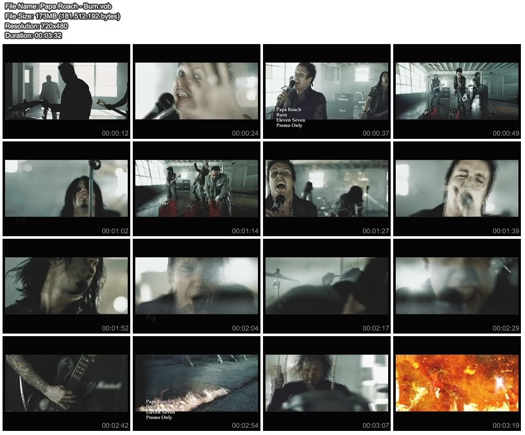 PapaRoach-Burn-1.jpg