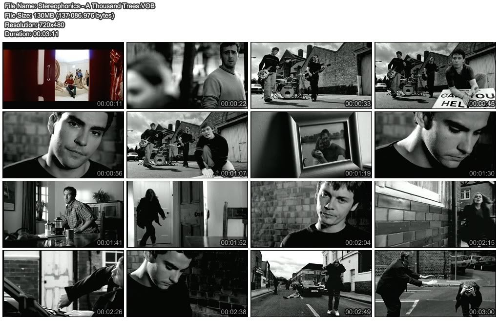 Stereophonics-AThousandTrees.jpg