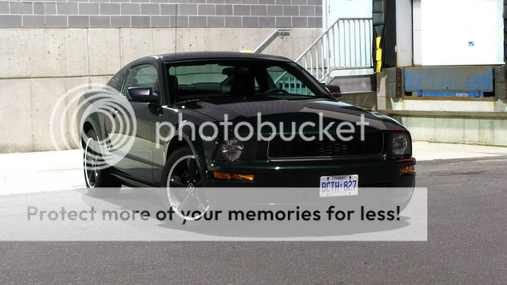 2008 Ford mustang myspace layouts #5