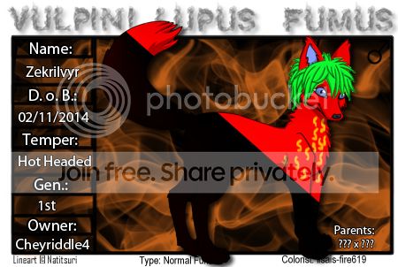 User Image