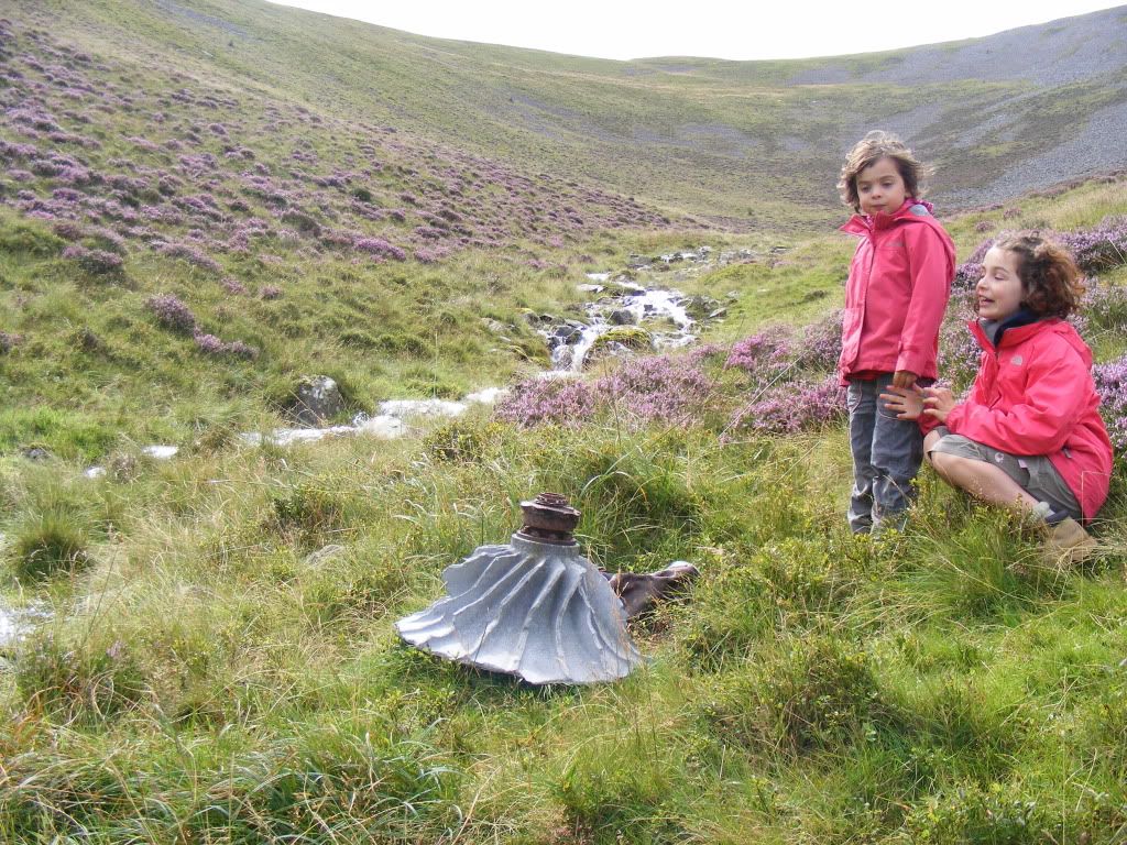 Tr Mynydd Mawr A Little One On The Elephant Mountain